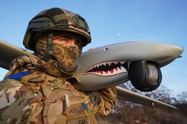 Ukrainian Porcupine - Security is not promised: it is produced.