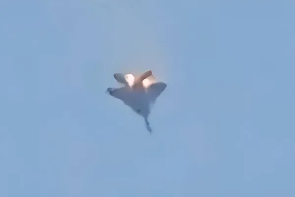Three American F-15s mistakenly shot down by Kuwaiti anti-aircraft: all pilots safe